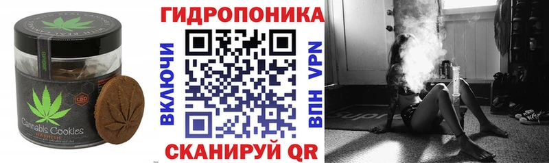 блэк спрут зеркало  как найти закладки  Иваново  Canna-Cookies марихуана 