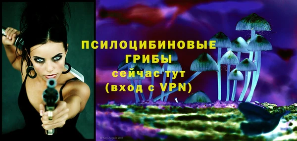 прущая мука Абаза